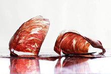 Charger l'image dans la galerie, Cécina de Galice Tanché